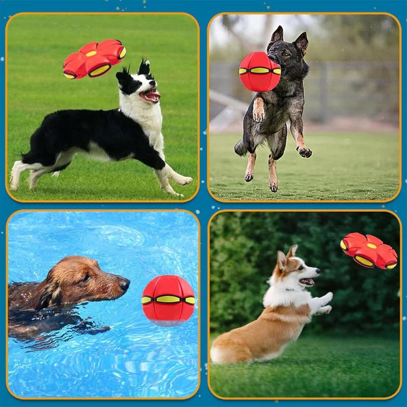 🔥Kids’ Magic Metaball — bouncy ball & flying saucer for family and pets